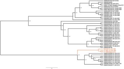 Differential Survivability of Two Genetically Similar Salmonella Thompson Strains on Pre-harvest Sweet Basil (Ocimum basilicum) Leaves